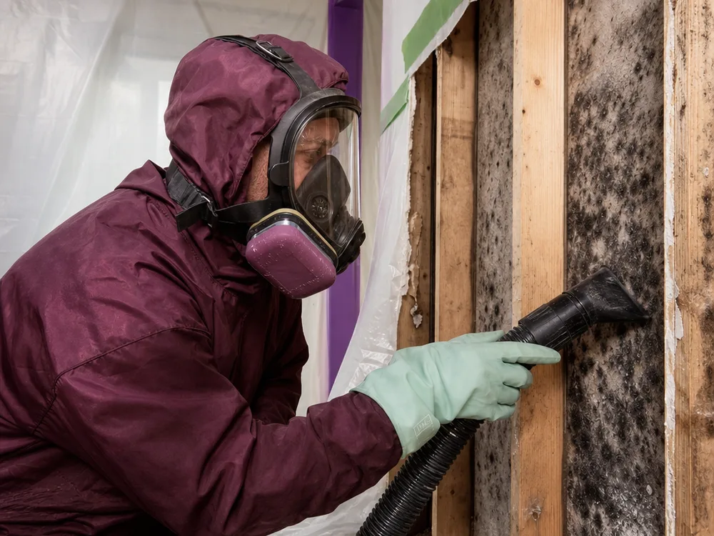 Contractor in protective equipment using a HEPA vacuum on exposed wall studs inside a sealed containment area