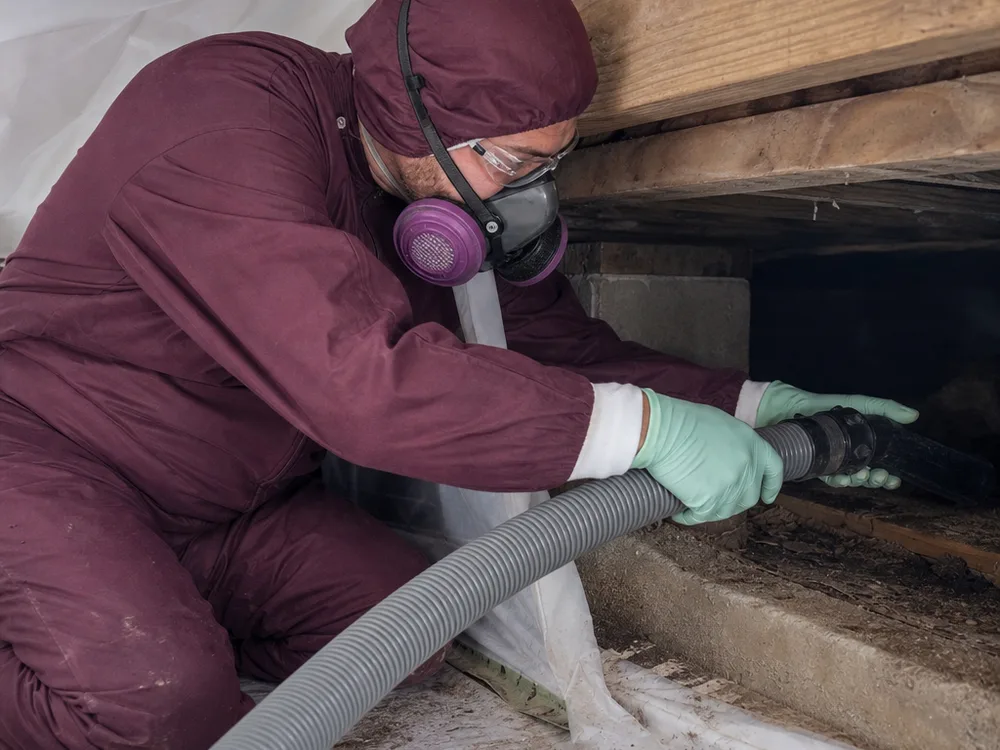 Contractor in protective gear HEPA vacuuming crawl space wood framing near floor joists and containment plastic